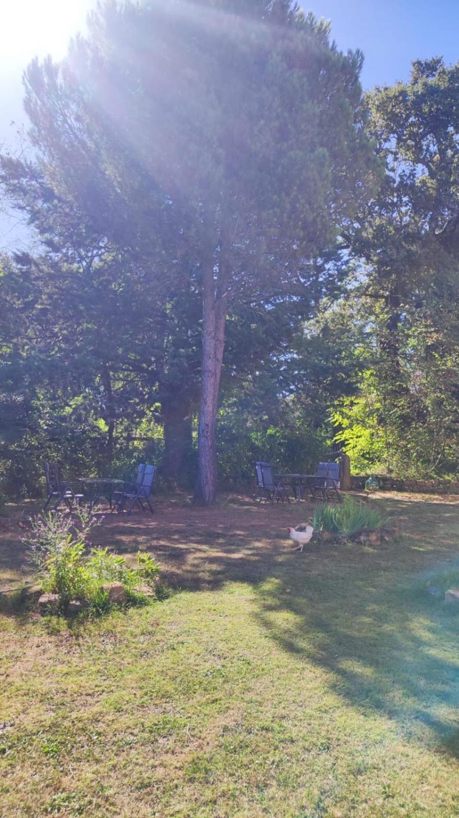 Camping Le Marche Apartments Gualdo di Macerata Εξωτερικό φωτογραφία
